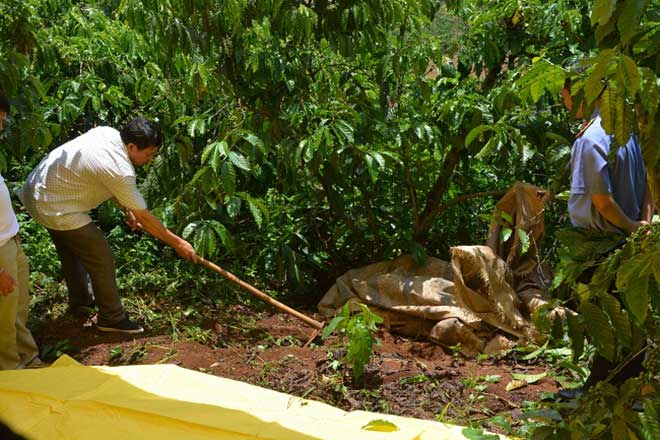 Vụ 3 bà cháu bị sát hại: Sợi tóc, giọt máu tố cáo hung thủ gây án - 6