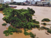 Tin tức trong ngày - Mưa lớn ở Móng Cái, nhiều đò sắt bị nhấn chìm trong lũ