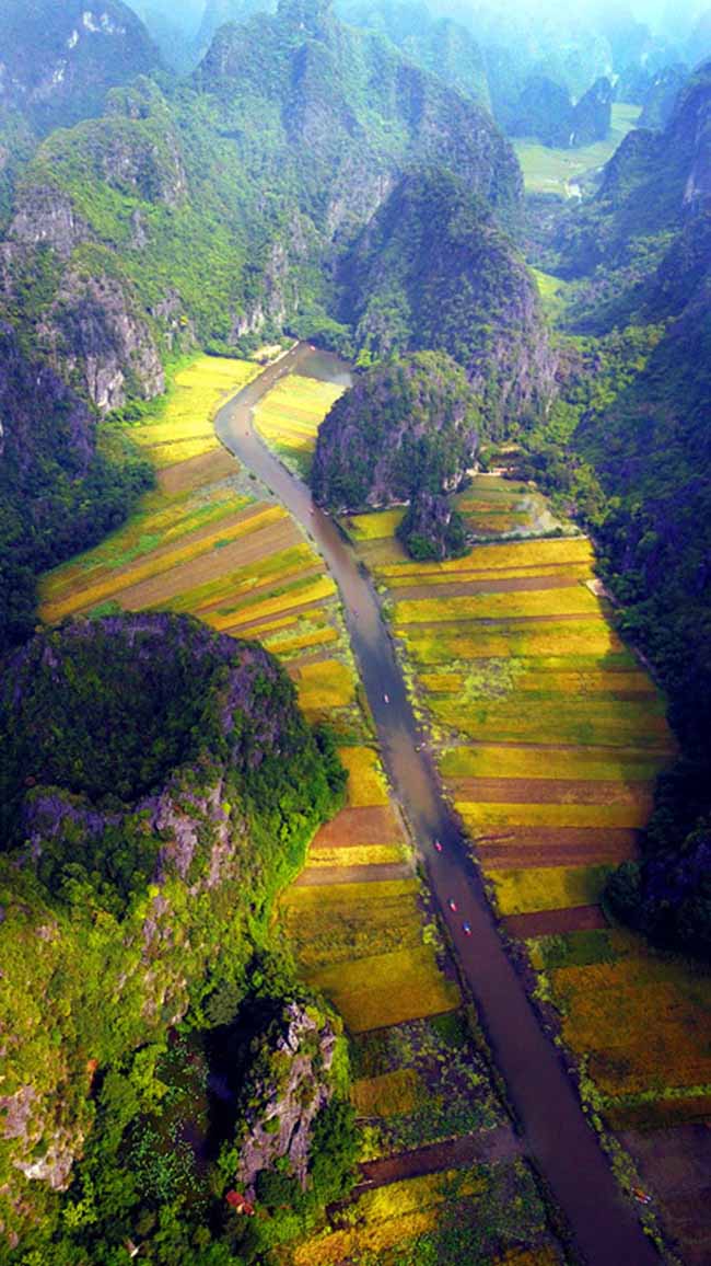 Mùa vàng Tam Cốc đẹp ngỡ ngàng từ đỉnh &#34;Vạn lý trường thành Việt Nam&#34; - 2