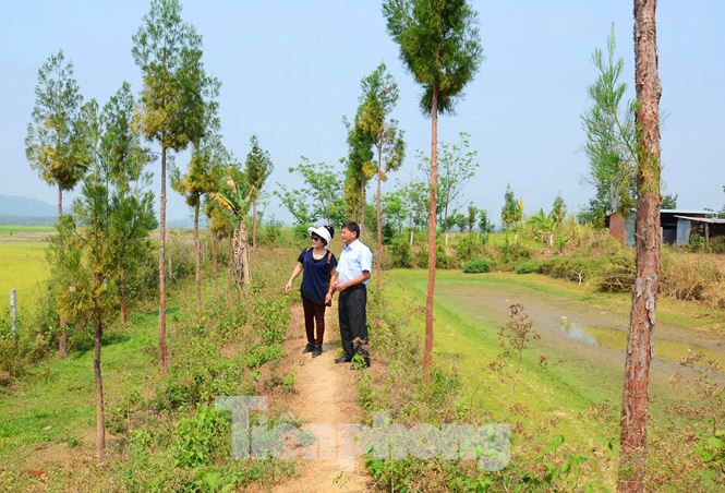 Vén màn bí ẩn Thủy tùng - 4