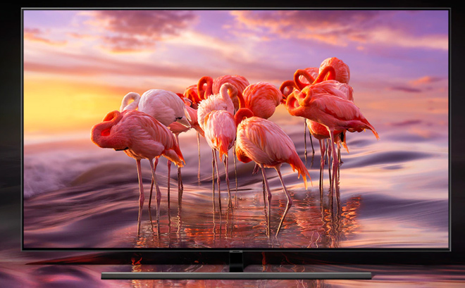 Đánh giá nhanh Samsung TV QLED 4K Q80R 65 inch 2019 - 2