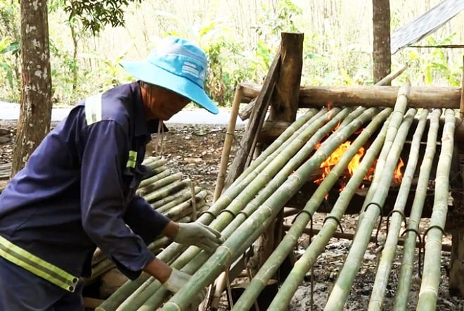 Nghề lạ ở An Giang: Đốt lửa nướng tầm vông ở vùng Bảy Núi - 1