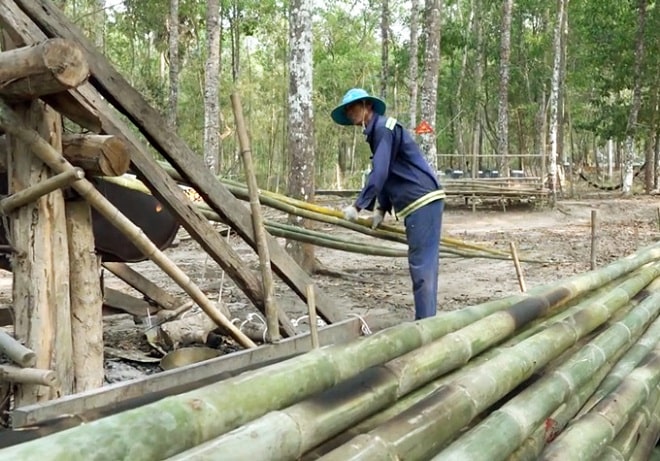 Nghề lạ ở An Giang: Đốt lửa nướng tầm vông ở vùng Bảy Núi - 4