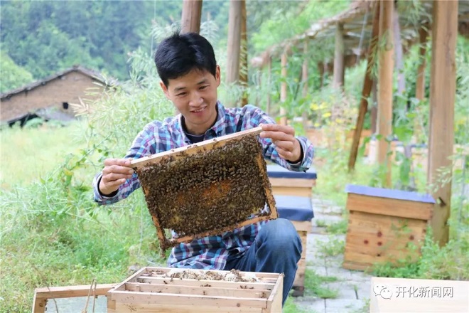 Kiếm trăm triệu nhờ nuôi ong sau nhiều lần khởi nghiệp thất bại - 1