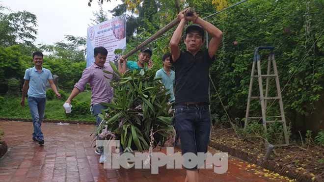 Những giò lan tiền tỷ tại Ngày hội hoa lan Thái Bình - 4