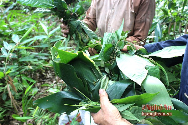 Những tục lệ trong Tết Đoan ngọ mùng 5/5 cần chú ý để trừ rủi ro, nhận may mắn - 3