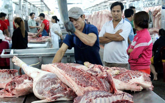 Giá heo hơi tăng vù vù lên 40.000 đồng/kg, chợ đầu mối &#34;cháy&#34; hàng - 2