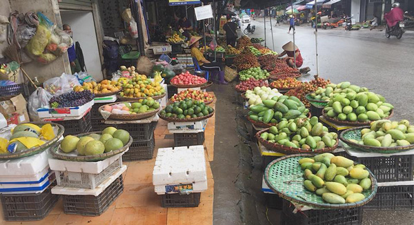 Hà Nội: Tết Đoan Ngọ, giá hoa quả tăng chóng mặt vẫn nườm nượp người mua - 2