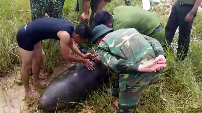 Ngư dân phát hiện bom “khủng” khi đánh cá - 1