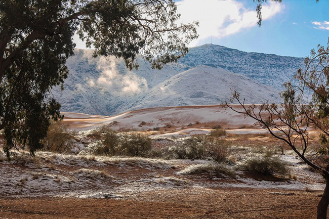 Một lớp tuyết bao phủ sa mạc Sahara, sự kiện cực kỳ hiếm hoi.