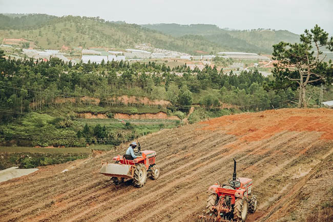 Có một Đà Lạt lãng mạn thật khác qua ống kính của chàng nhiếp ảnh 9x - 6