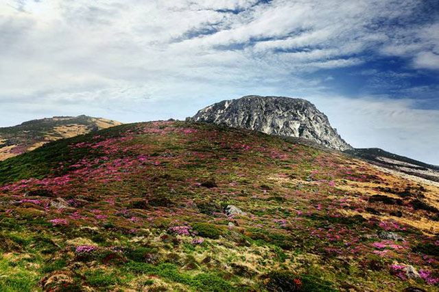 Những điểm đến không thể bỏ lỡ khi tới Jeju - Hàn Quốc vào hè này - 2