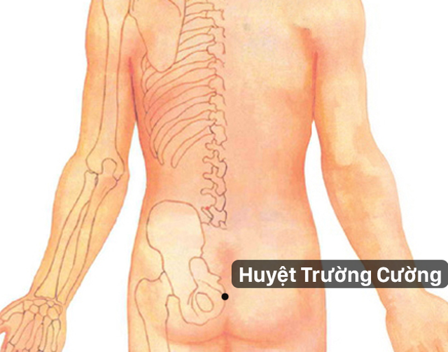 Trước &#34;chuyện ấy&#34; cần hiểu huyệt Trường cường, Nhân trung để tránh cảnh “chôn bạn tình” - 1