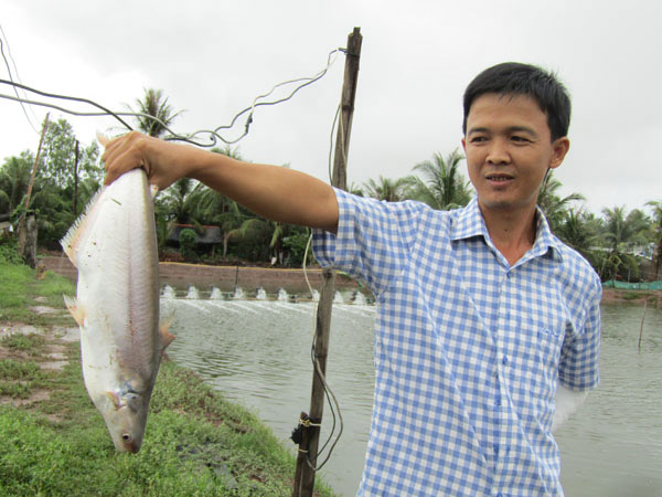 Làm giàu ở nông thôn: Đổi đời nhờ nuôi loài cá bông lau - 3