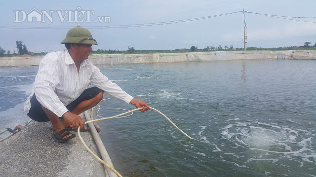 Làm giàu ở nông thôn: Xây ao nổi cho ngao đẻ, có tiền tỷ mỗi năm - 3