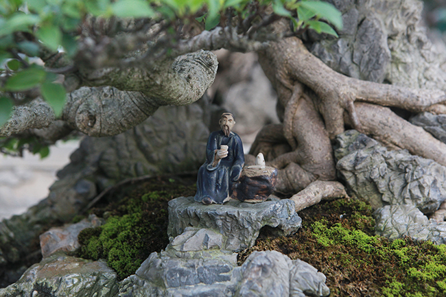 Bên dưới tán cây là tượng một ông lão ngồi trên đá cho tác phẩm thêm phần sinh động
