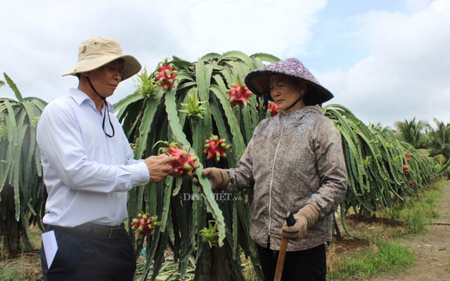 Xuất khẩu rau quả sang Trung Quốc: Hấp dẫn nhưng vẫn bí thông tin - 3