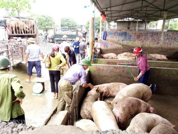 Giá heo hơi hôm nay: Chợ lợn lớn nhất miền Bắc tiêu thụ tăng gấp đôi, giá 38.000 đồng/kg - 1