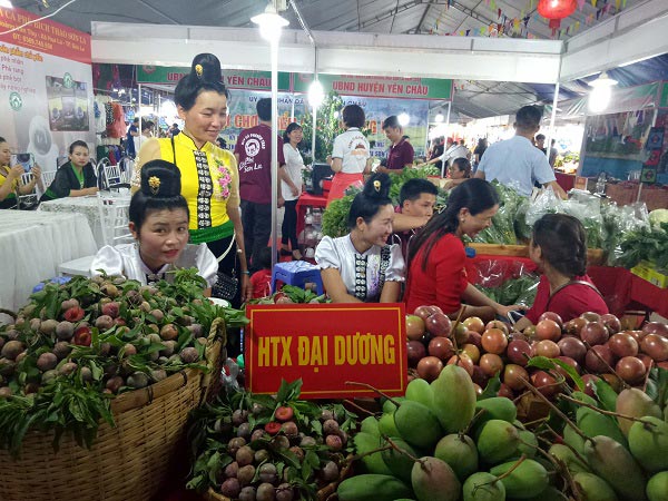 8.679 tấn trái cây xuất ngoại, nông dân Sơn La thu tiền tỷ - 3