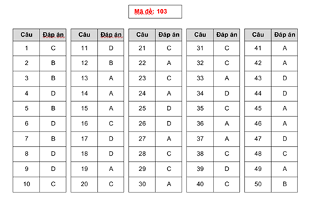 Gợi ý giải đề thi môn Toán THPT quốc gia 2019 - 6