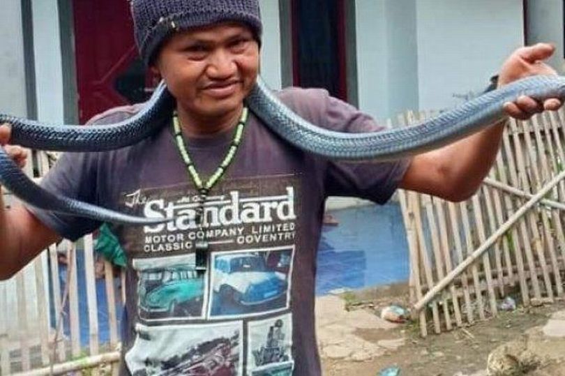 Indonesia: Tắm cho trăn cưng, chủ bất ngờ bị siết đến chết - 1