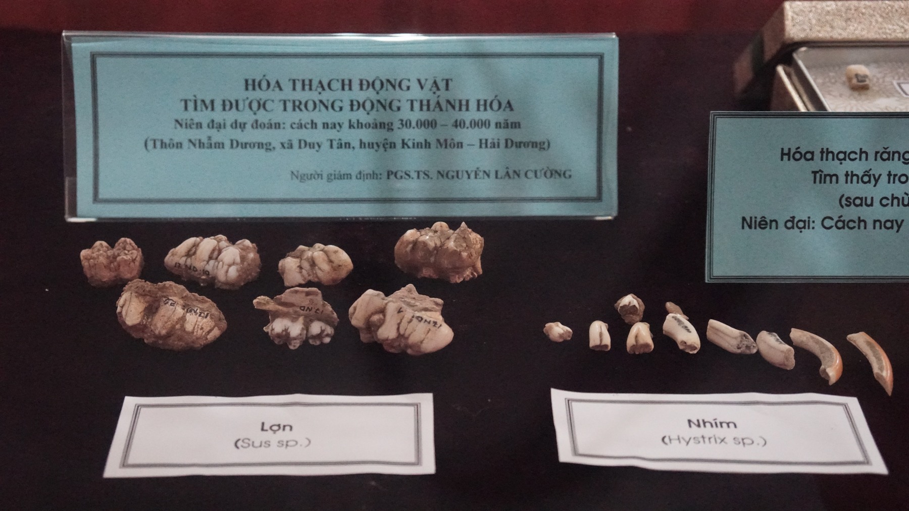 Ngôi chùa kỳ bí chứa cổ vật từ vạn năm trước: Cận cảnh kho xương &#34;khổng lồ&#34; - 5