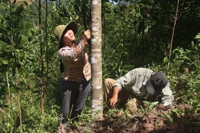 Hành trình thi tốt nghiệp THPT &#34;có 1 không 2&#34; của đôi vợ chồng trẻ - 2