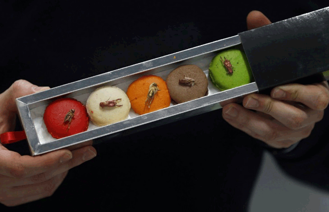 9. Macarons côn trùng có thể khiến không ít người “rợn người” khi nhìn thấy nhưng hương vị thật sự không tồi.