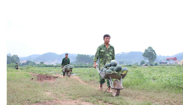 Dưa hấu được giá, nông dân xứ Lạng phấn khởi “đội nắng” thu hoạch - 3