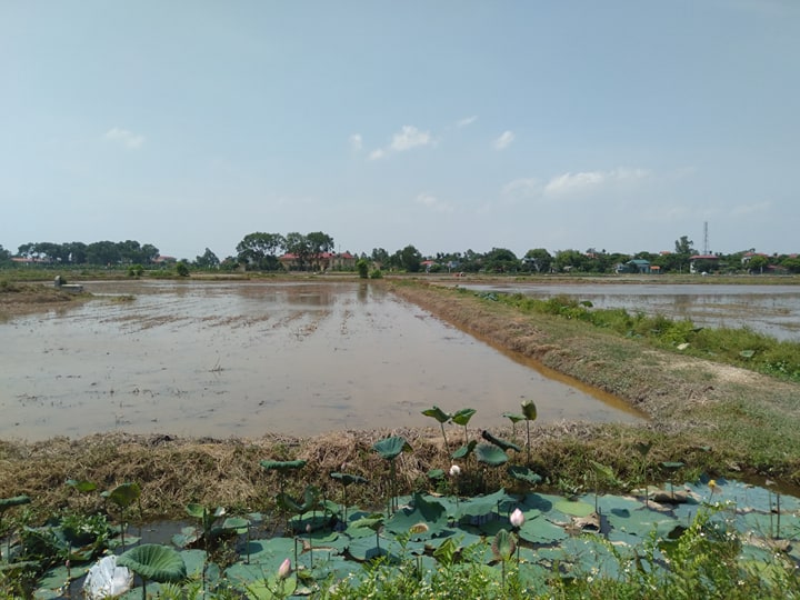 Chuyện 2 làng “sát vách” trăm năm trai gái không lấy nhau: Cuộc hôn nhân “định mệnh” - 2