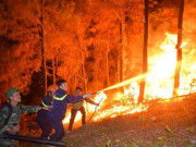 Tin tức trong ngày - Biển lửa cháy rừng chưa ngớt, Hà Tĩnh sẵn sàng di dân trong đêm nay