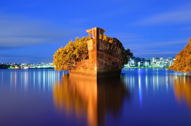 Vịnh Homebush, Sydney: Cây rừng ngập mặn phủ kín con tàu 102 tuổi ở Sydney và được người dân địa phương gọi là “rừng nổi”.
