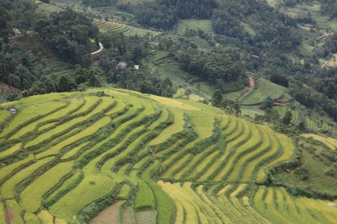 Những thửa ruộng bậc thang như tô điểm thêm màu sắc cho núi rừng