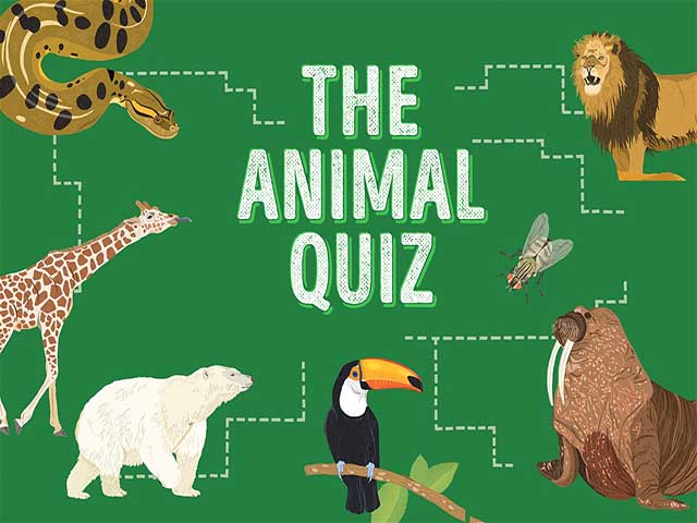 Câu đố: Bạn có thể đoán ra tên bao nhiêu con vật trong hình?