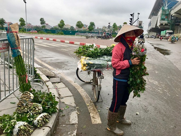 Chợ hoa đóng cửa, người trồng hoa phải đứng bán lẻ với giá rẻ như cho.