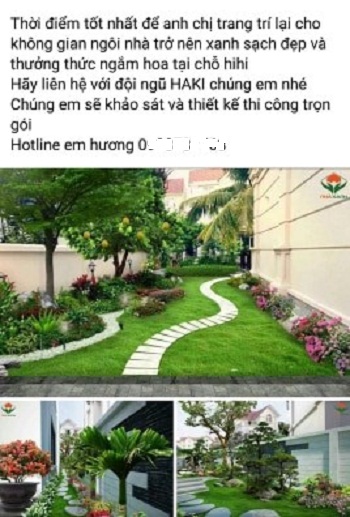 Dịch vụ&nbsp;tư vấn cách trồng rau, trang trí nhà vườn cũng thu hút nhiều người&nbsp;