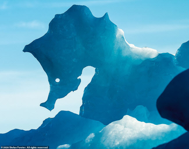 Tảng băng khổng lồ có hình cá ngựa được Forster ghi lại trong hành trình khám phá Greenland.