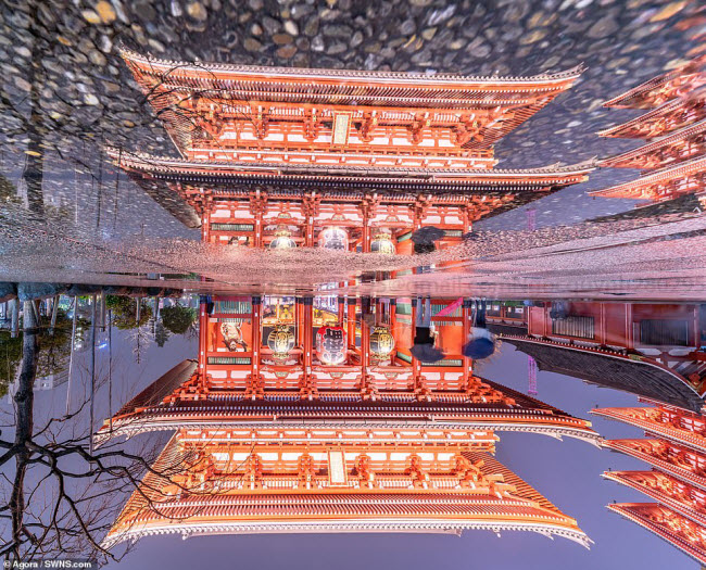 Ngôi đền Sensoji in bóng trên vũng nước sau một trận mưa ở thành phố Tokyo, Nhật Bản.
