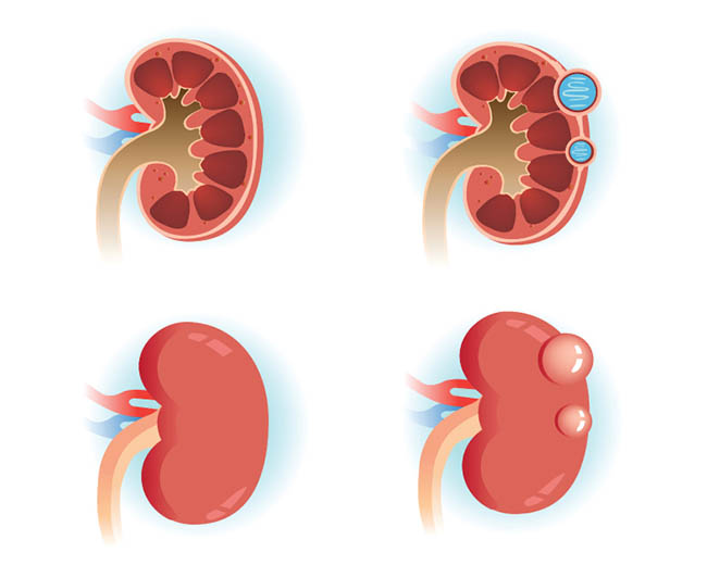 Ảnh: Healthnucleus