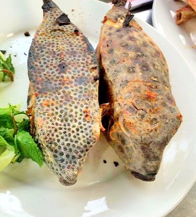 Cách ăn loại cá này là nướng trên lửa. Sau đó, lôt lớp da ngoài rồi cuốn thịt bên trong với các loại rau hoặc chấm với nước mắm. 