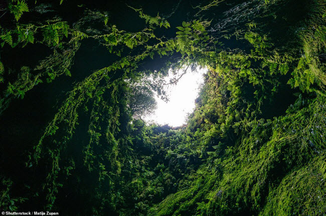 Hang động núi lửa Algar do Carvão nằm trên hòn đảo Terceira ở vùng Azores, Bồ Đào Nha.