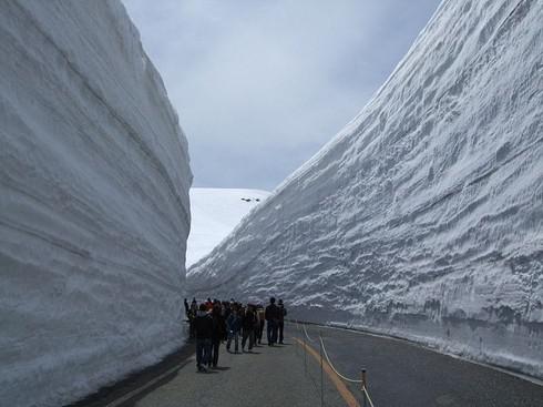 Con đường tuyết Tateyama Kurobe Alpine là cung đường ngắm cảnh nổi tiếng ở Nhật Bản