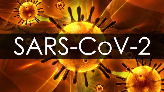 Toàn bộ quy trình xét nghiệm virus SAR-CoV-2&nbsp;có thể hoàn thành chỉ trong 40 phút.