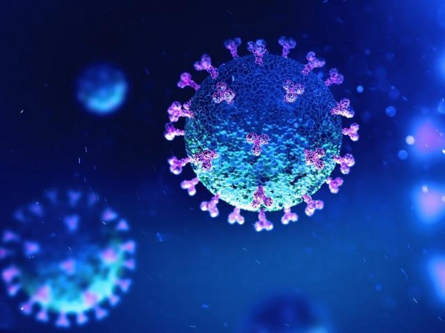 Phát hiện virus SARS-CoV-2 biết tấn công cả hệ miễn dịch của con người