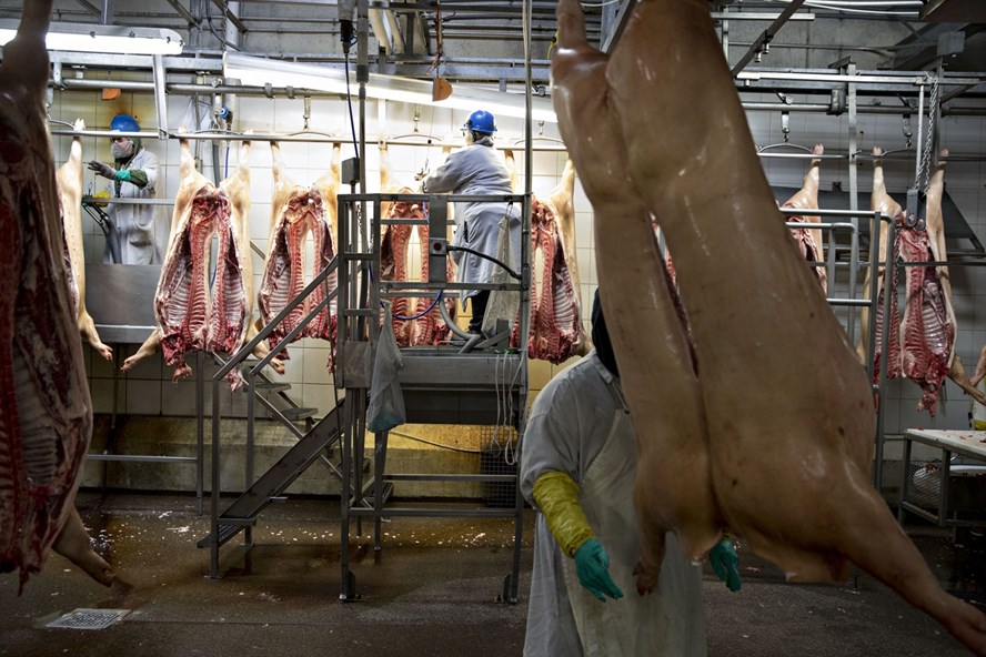 Hàng trăm trường hợp ghi nhiễm Covid-19 được phát hiện tại các cơ sở sản xuất thịt của&nbsp;Mỹ