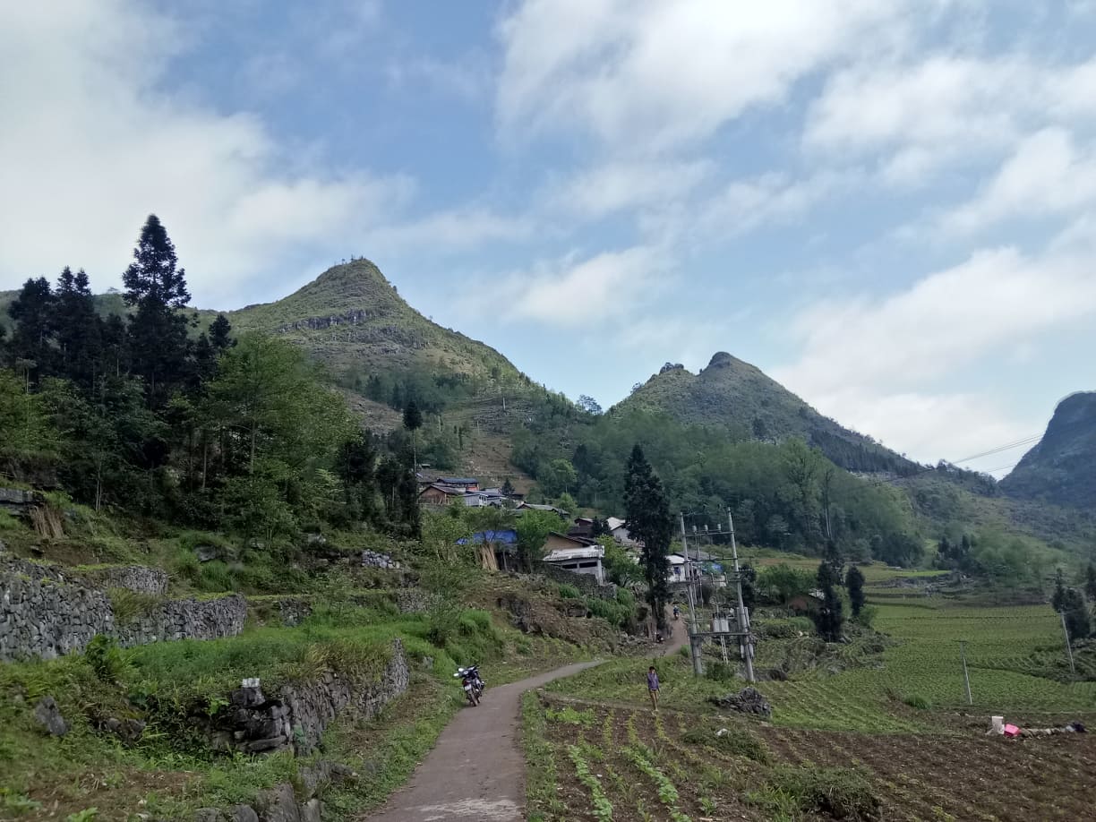 Con đường dẫn vào nhà em Sùng Mí Sò.&nbsp;Hằng ngày, ngoài giờ học, Sò còn giúp đỡ ông bà nội làm nương rẫy, trồng ngô, cắt cỏ hay đi đổi công, em làm việc như một người lớn dù mới chỉ 12 tuổi.