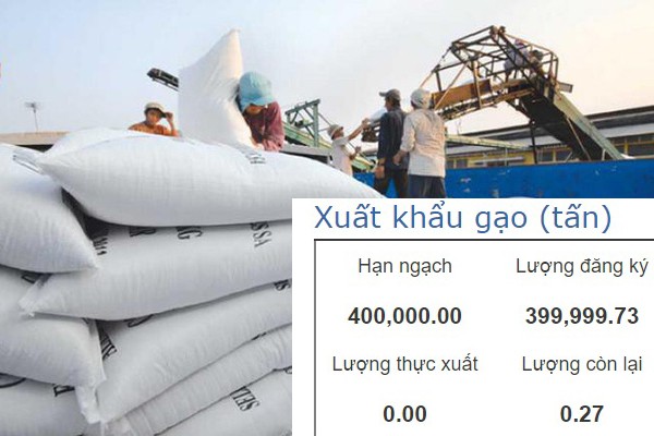 Thông báo hủy kết quả trúng thầu của Cục dự trữ nhà nước khu vực TP.HCM