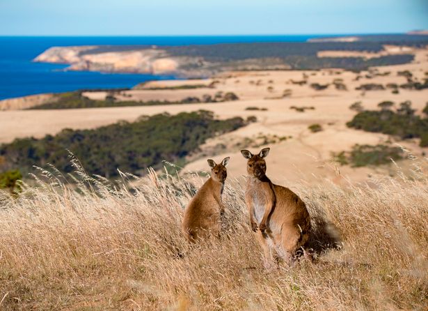 12 điểm đến không thể bỏ qua khi du lịch Austrlia - 4