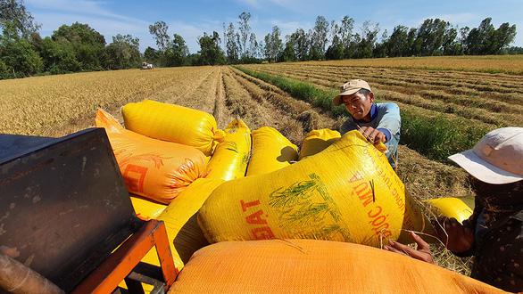 Nhiều doanh nghiệp trong nước không đồng tình với việc cơ quan Hải quan mở tờ khai lúc nửa đêm. Ảnh:&nbsp;CHÍ QUỐC