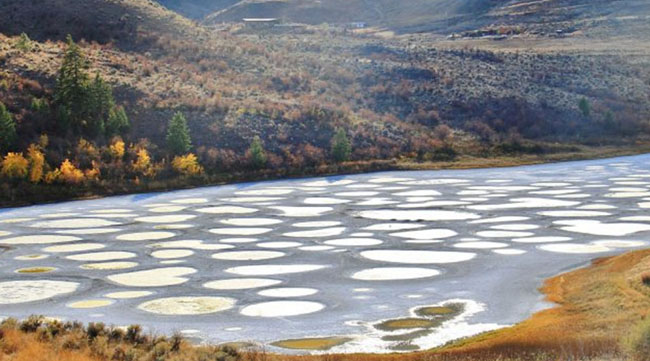 Hồ đốm, Canada: Hồ Spazed rất độc đáo nằm ở thị trấn nhỏ Osoyoos. Vào mùa hè, nước của hồ bốc hơi và bỏ lại các vũng khoáng nhỏ với nhiều màu khác nhau. 
